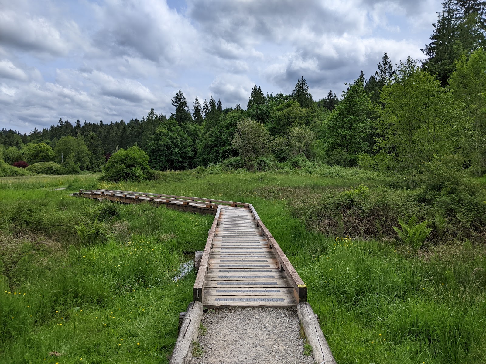 Evans Creek Preserve
