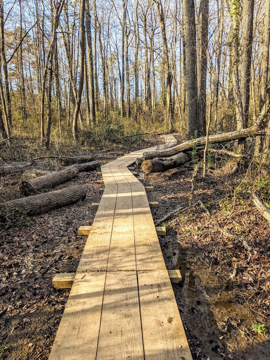Evergreen Nature Preserve