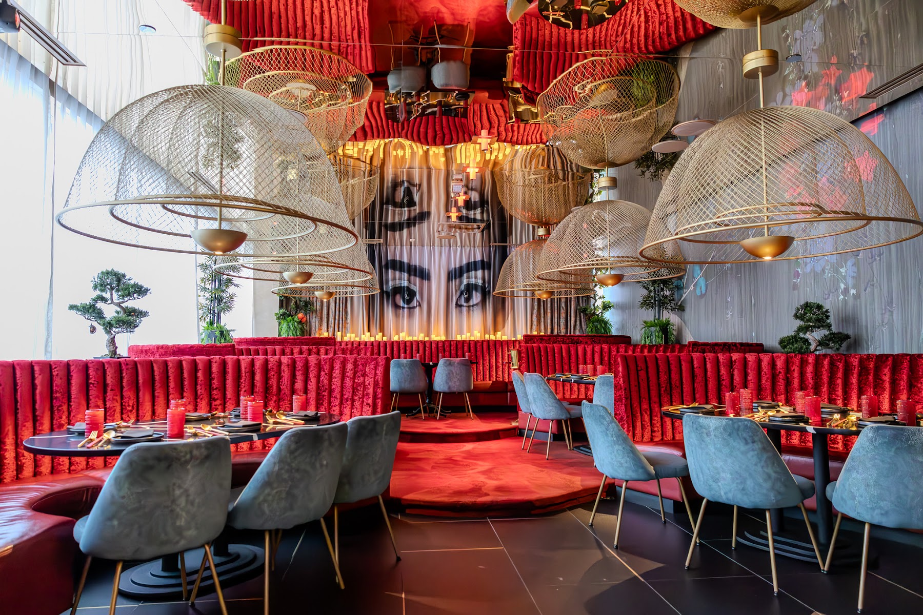 Experience Zuzu, Detroit