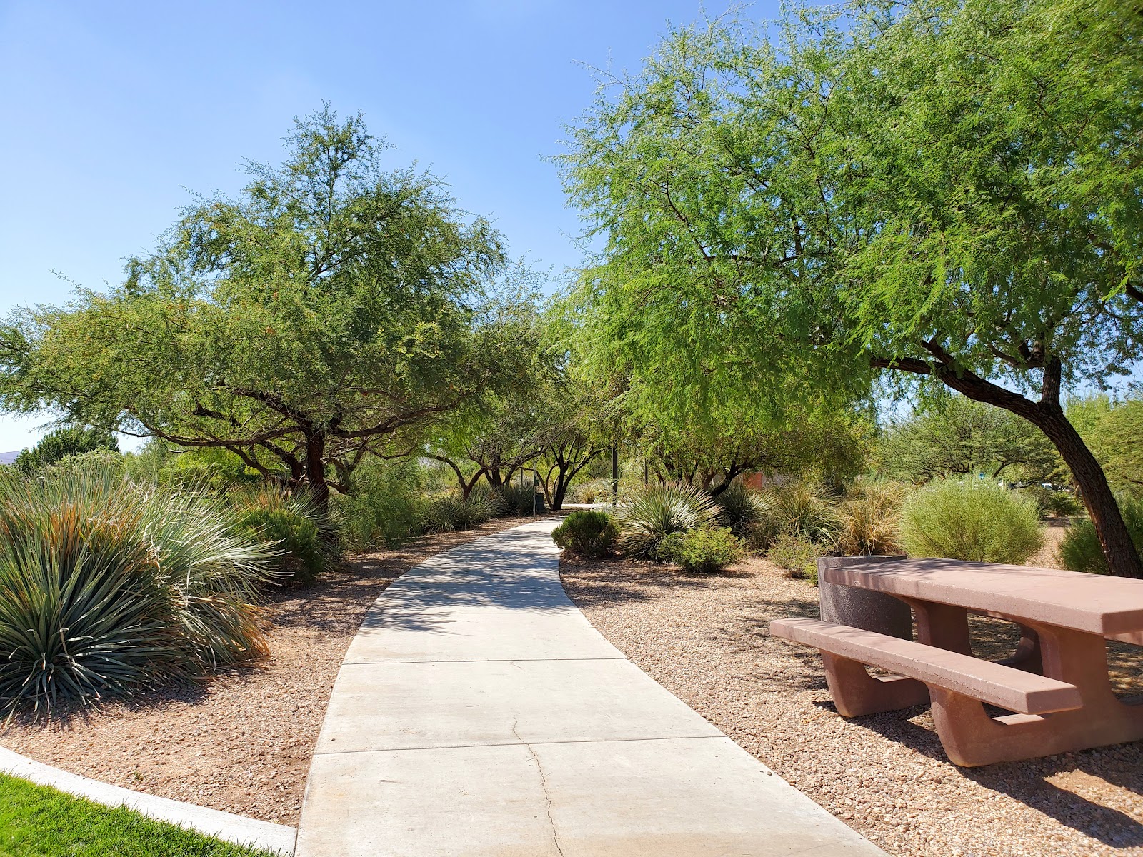 Exploration Peak Park