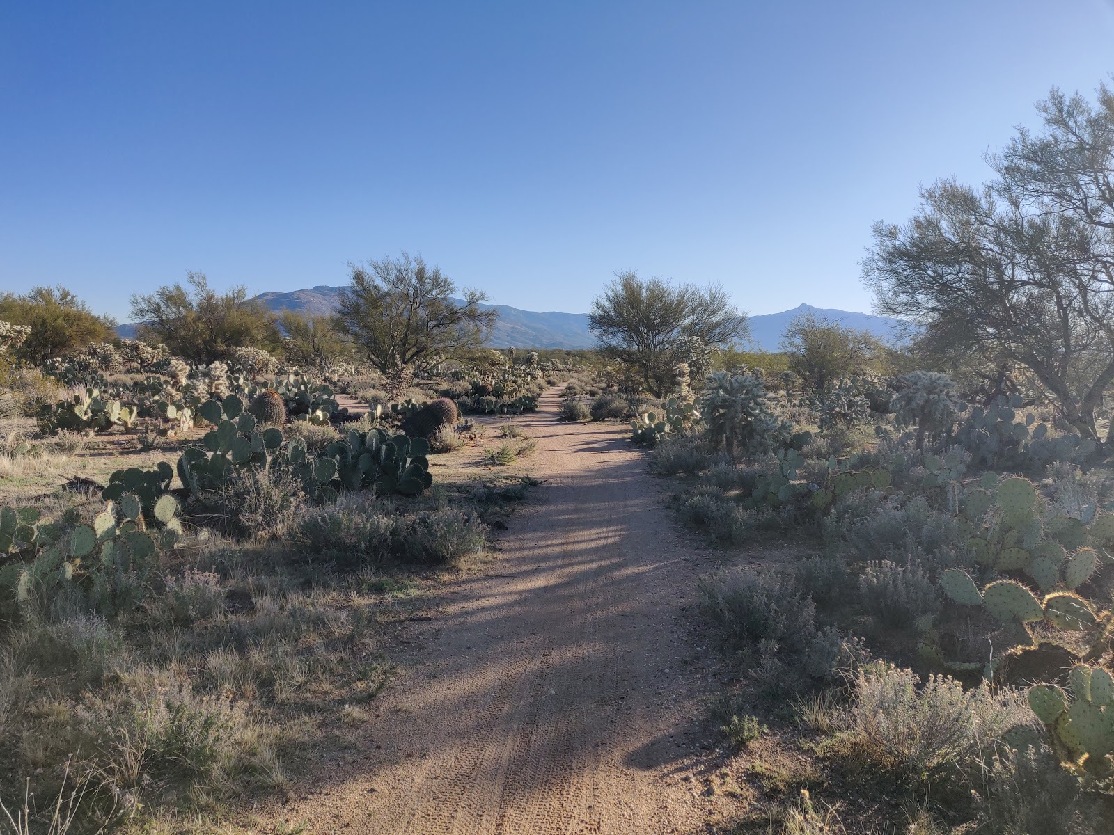 Fantasy Island Trailhead (Mountain Biking)