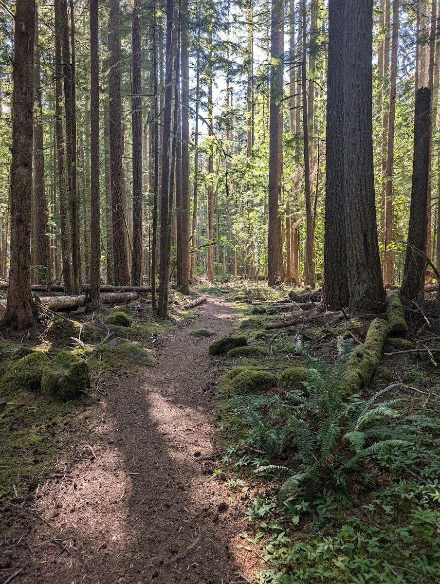 Federation Forest State Park