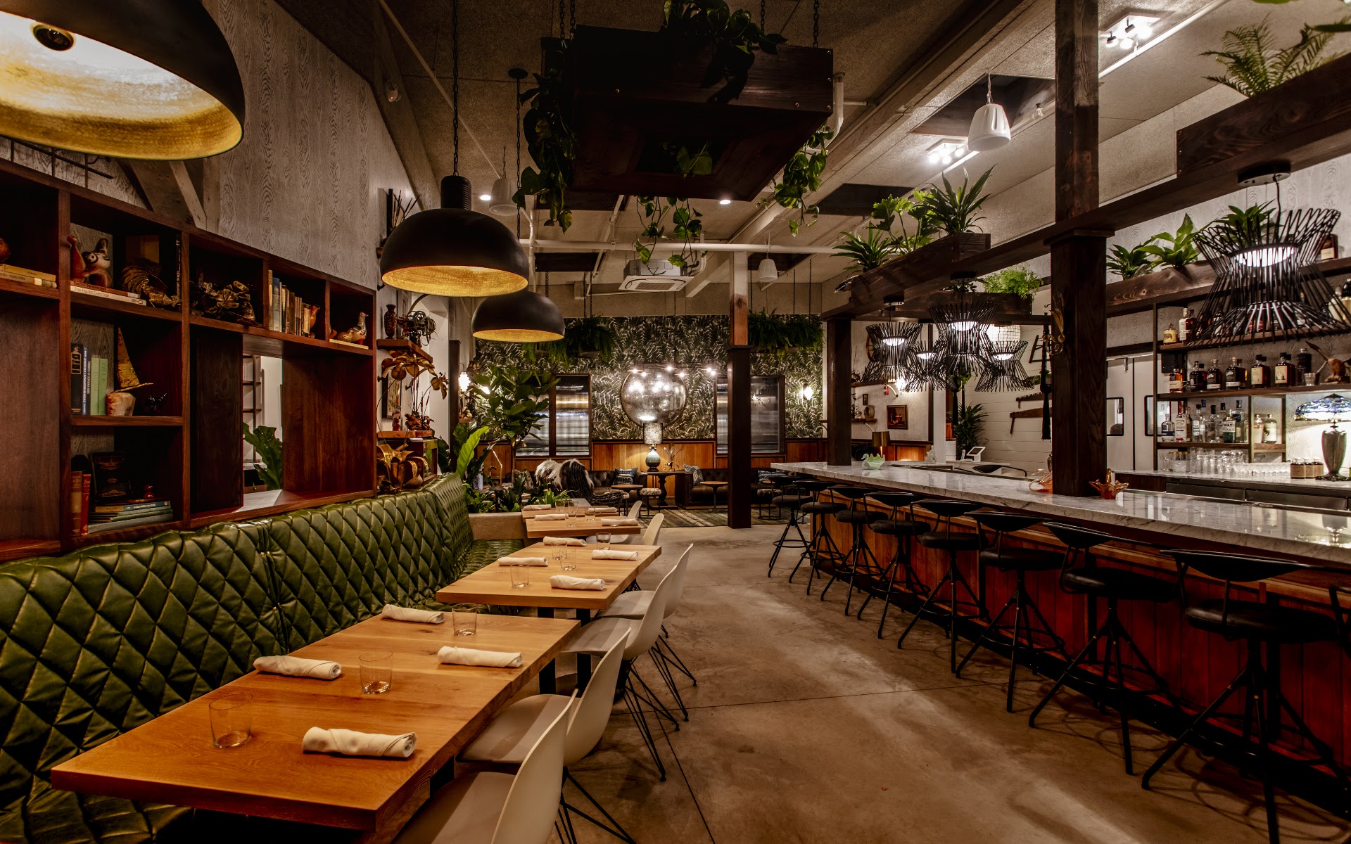 Fern Bar