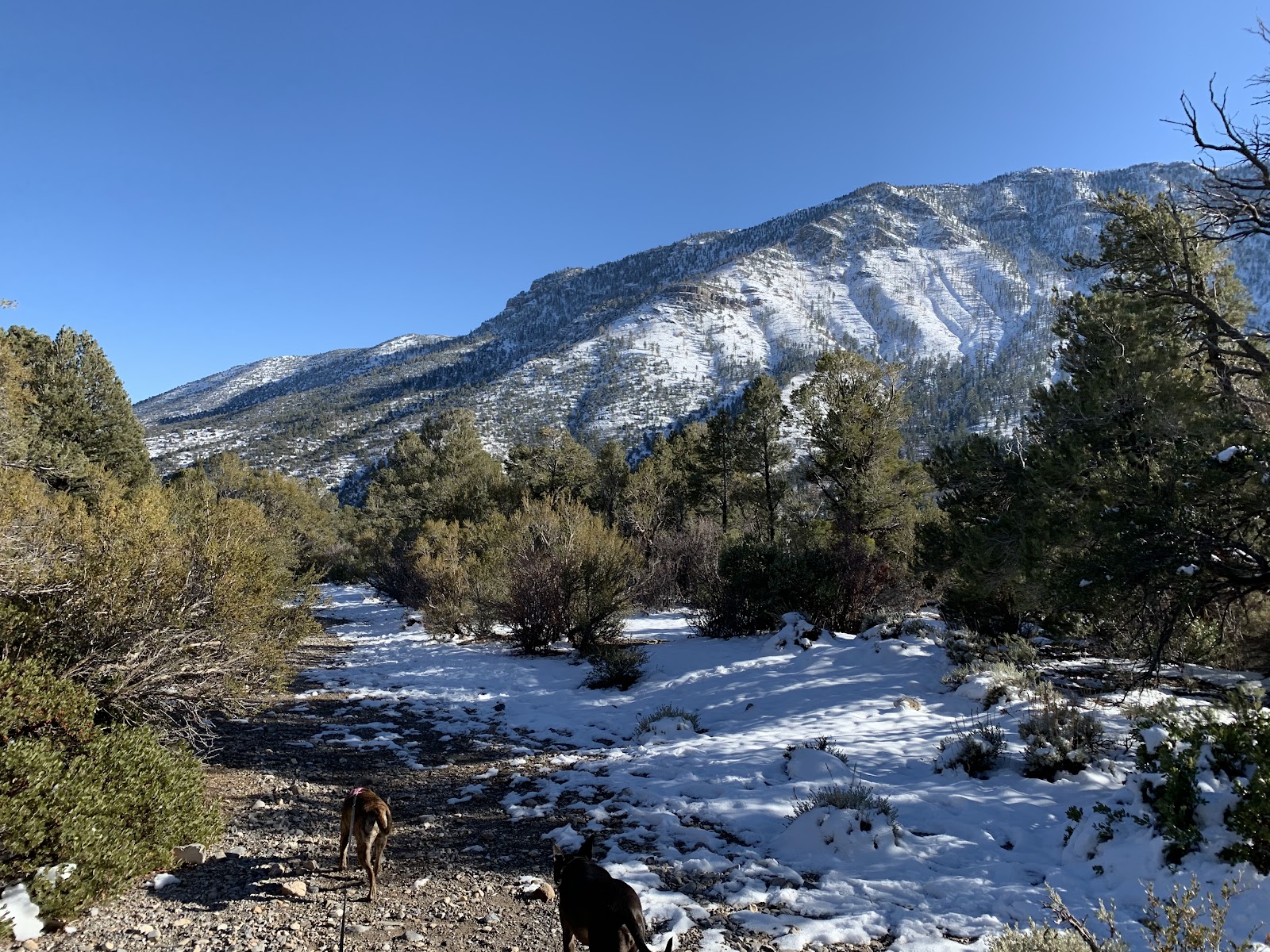 Fletcher Canyon Trailhead