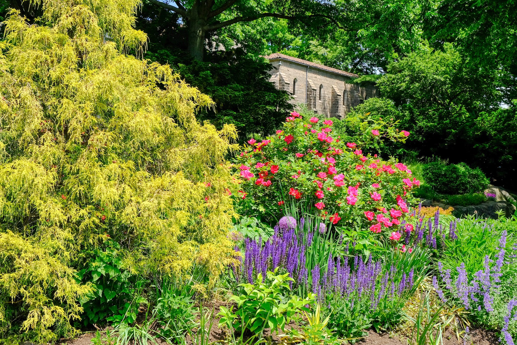Fort Tryon Park Fall Colors & Cloisters Visit