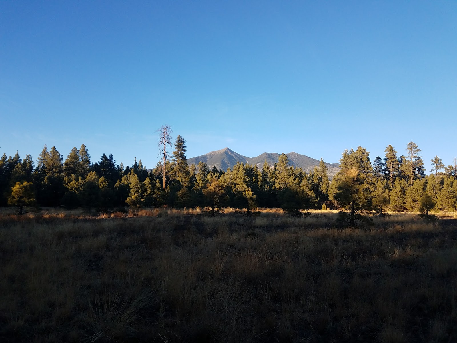 Fort Valley Trailhead