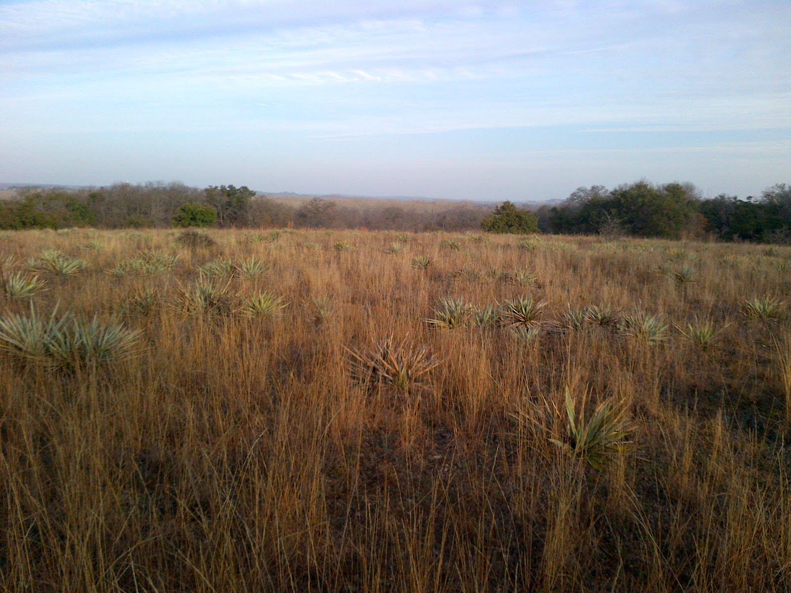 Fort Worth Nature Center & Refuge