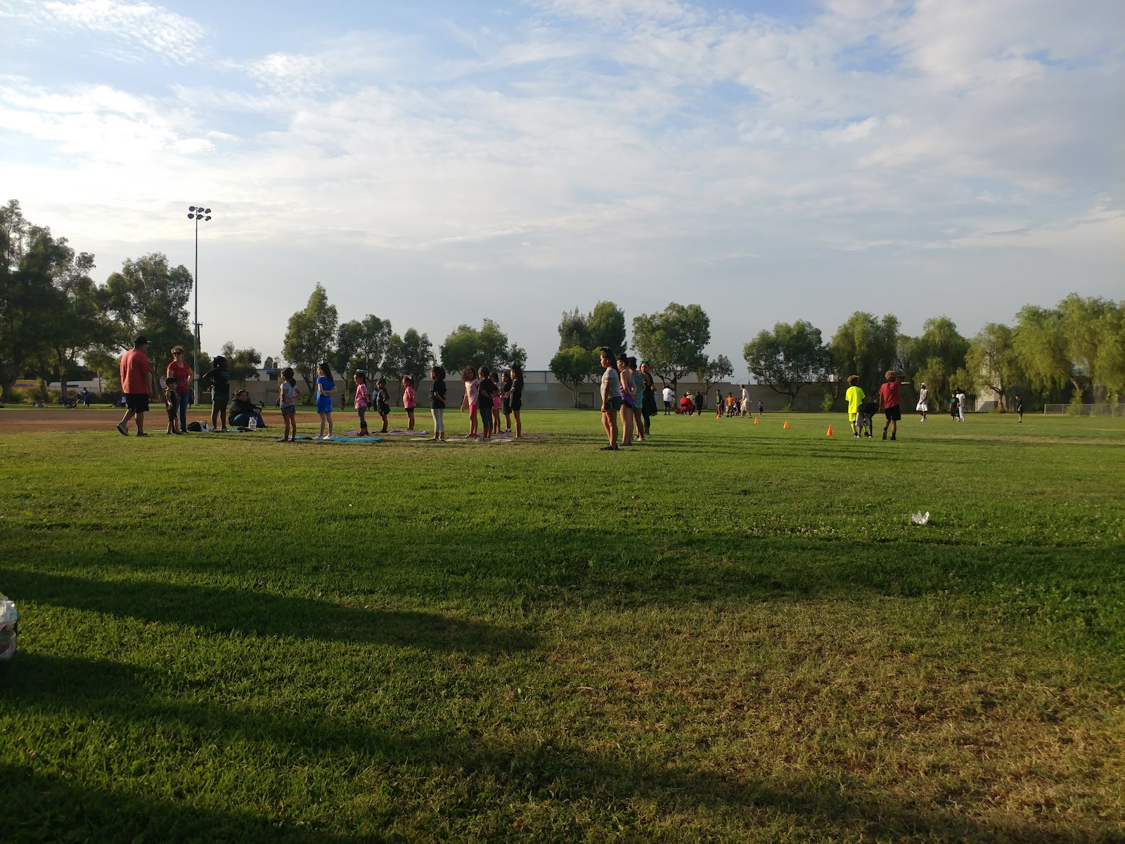 Foss Field Park