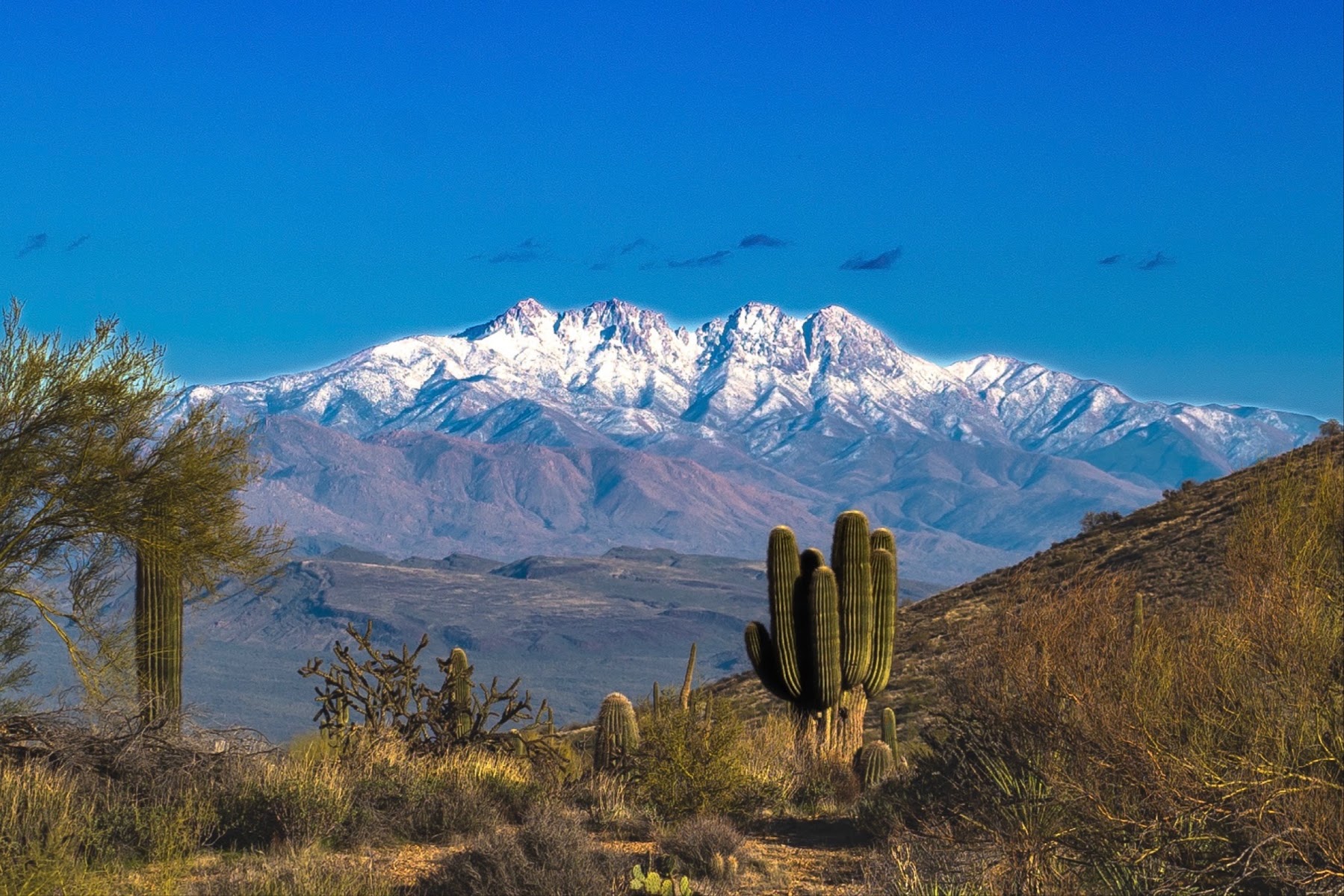 Four Peaks Wilderness Area