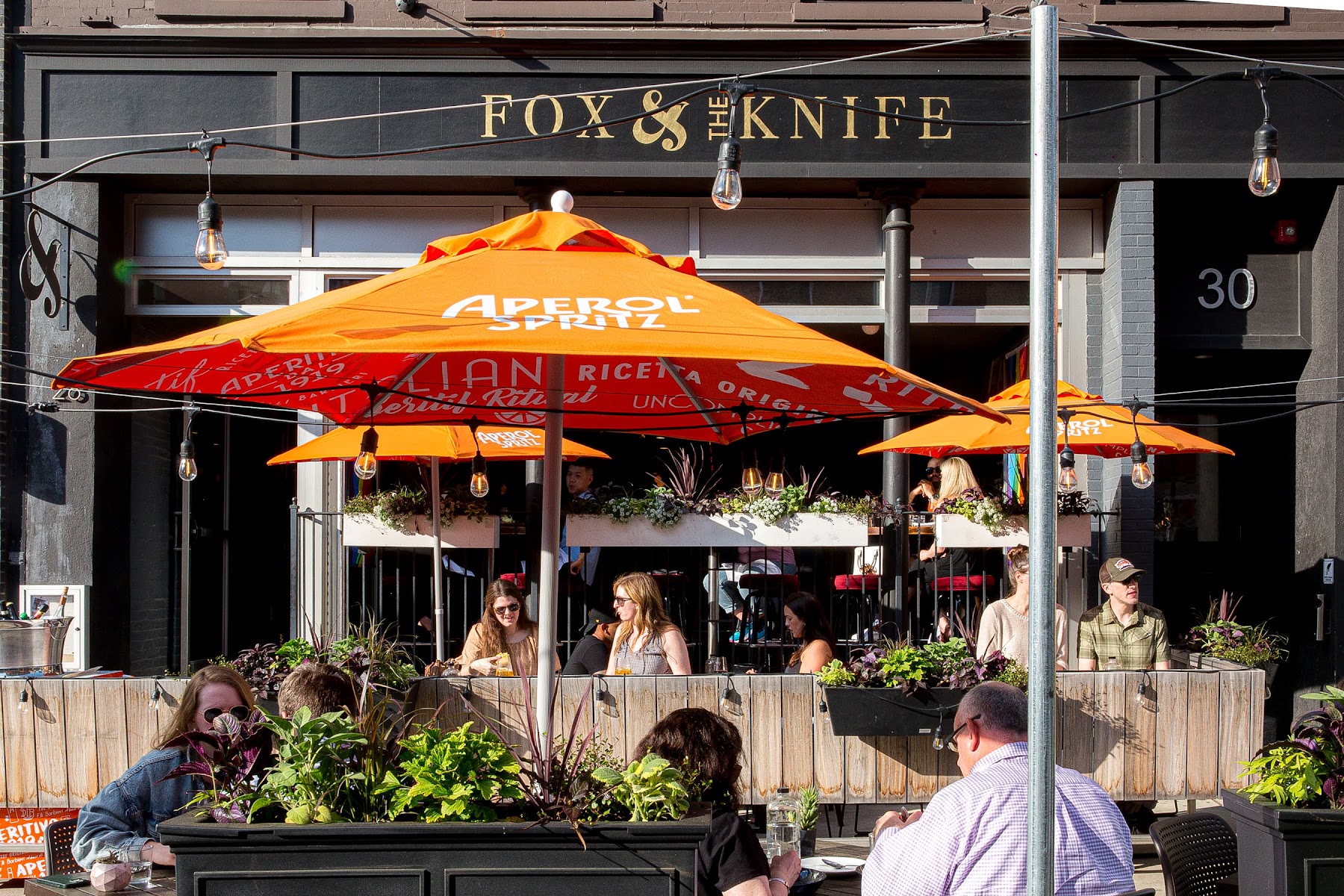 Fox & The Knife