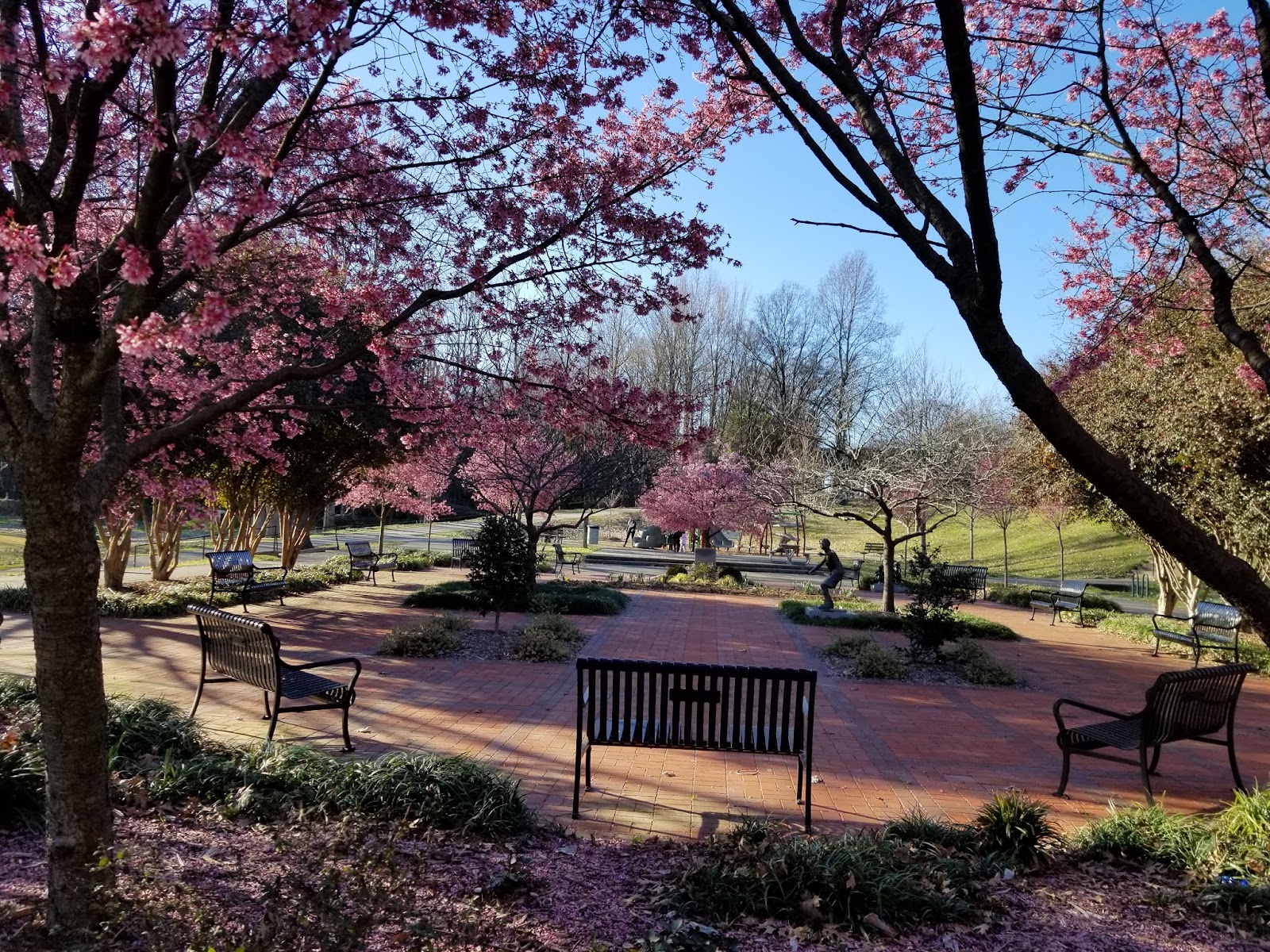 Frazier Park