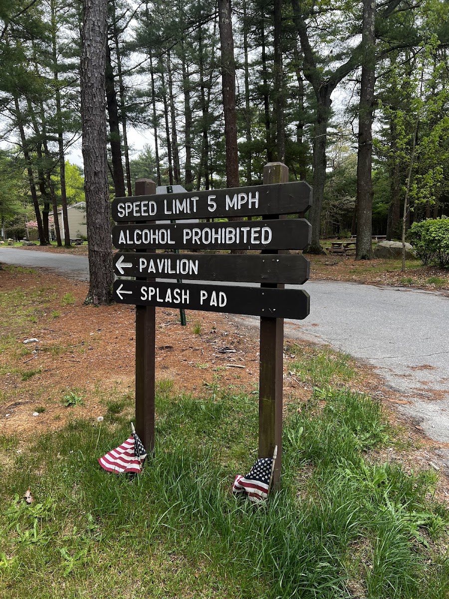 Freetown-Fall River State Forest