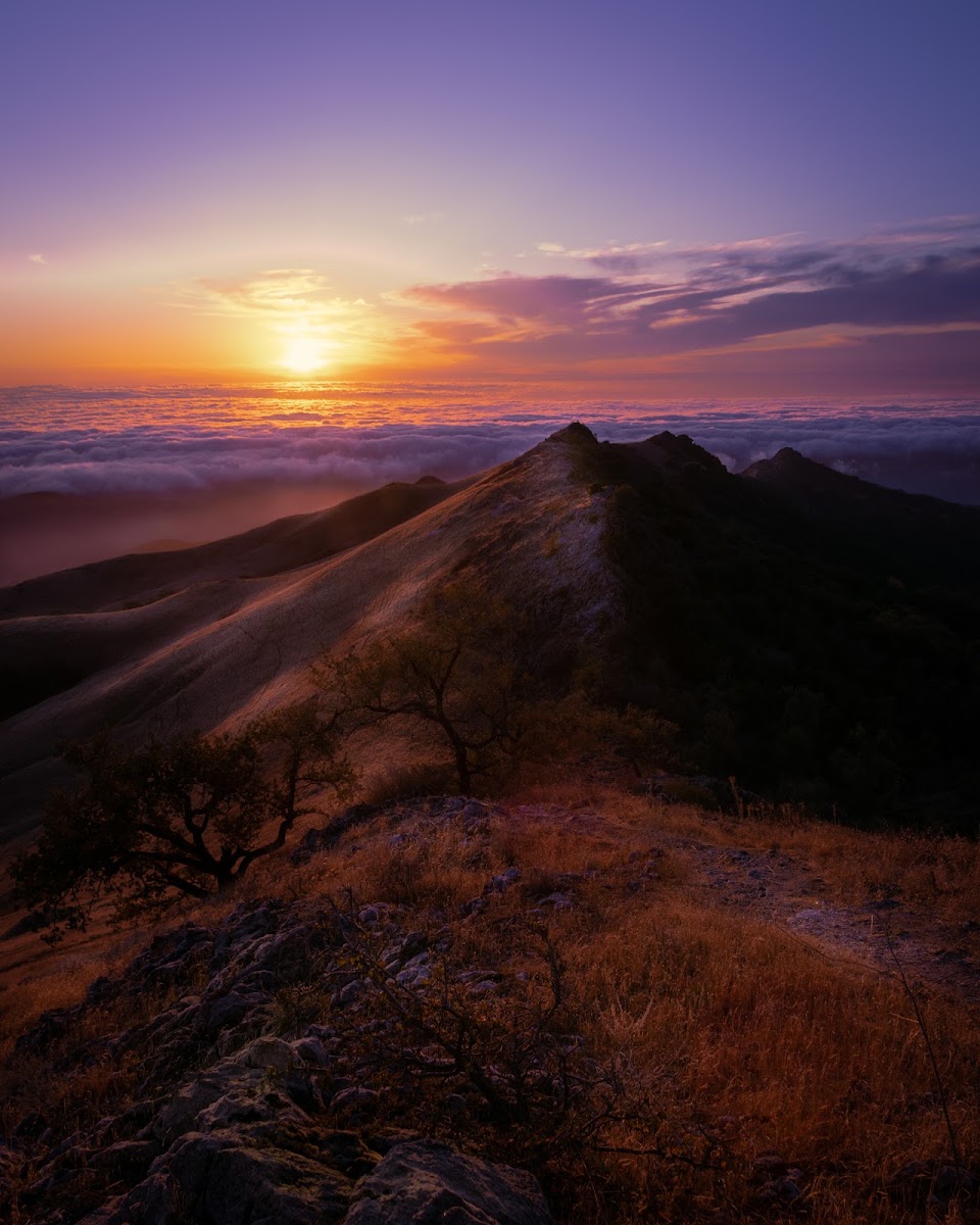 Fremont Peak State Park