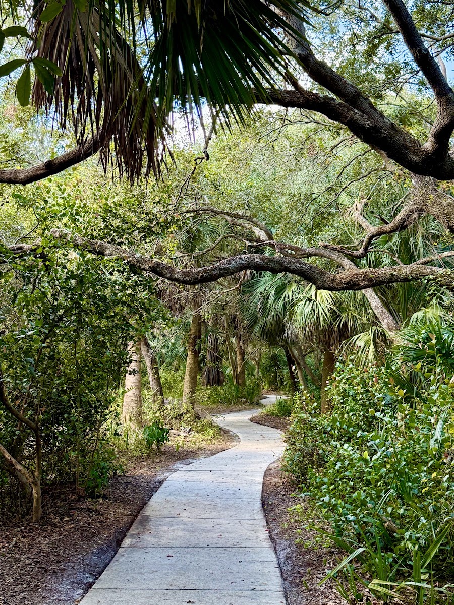 Frenchman's Forest Natural Area