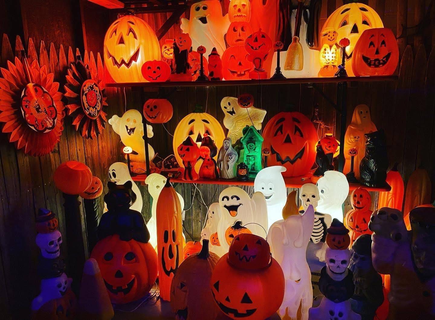 Fright Kingdom