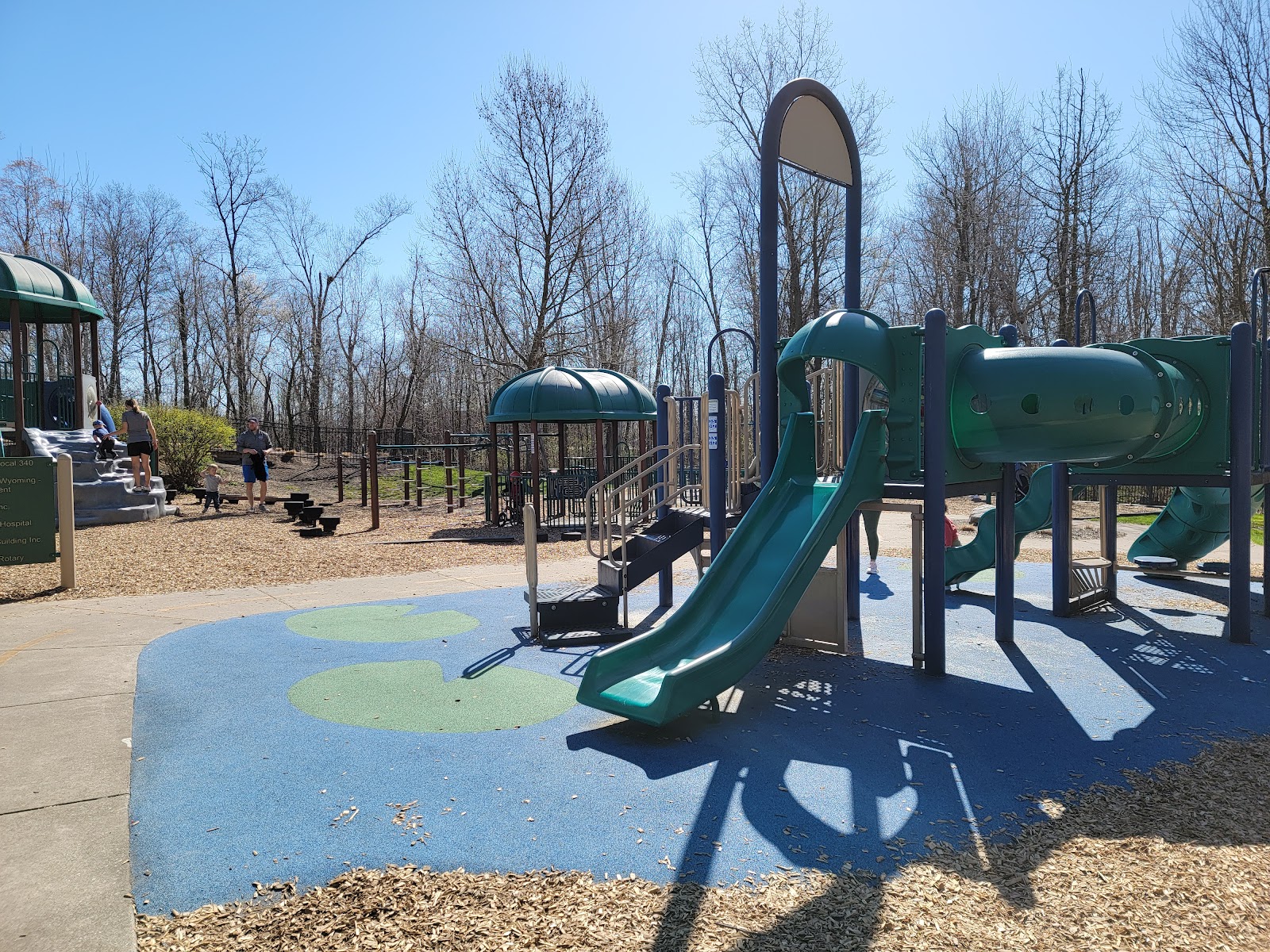 Frog Hollow