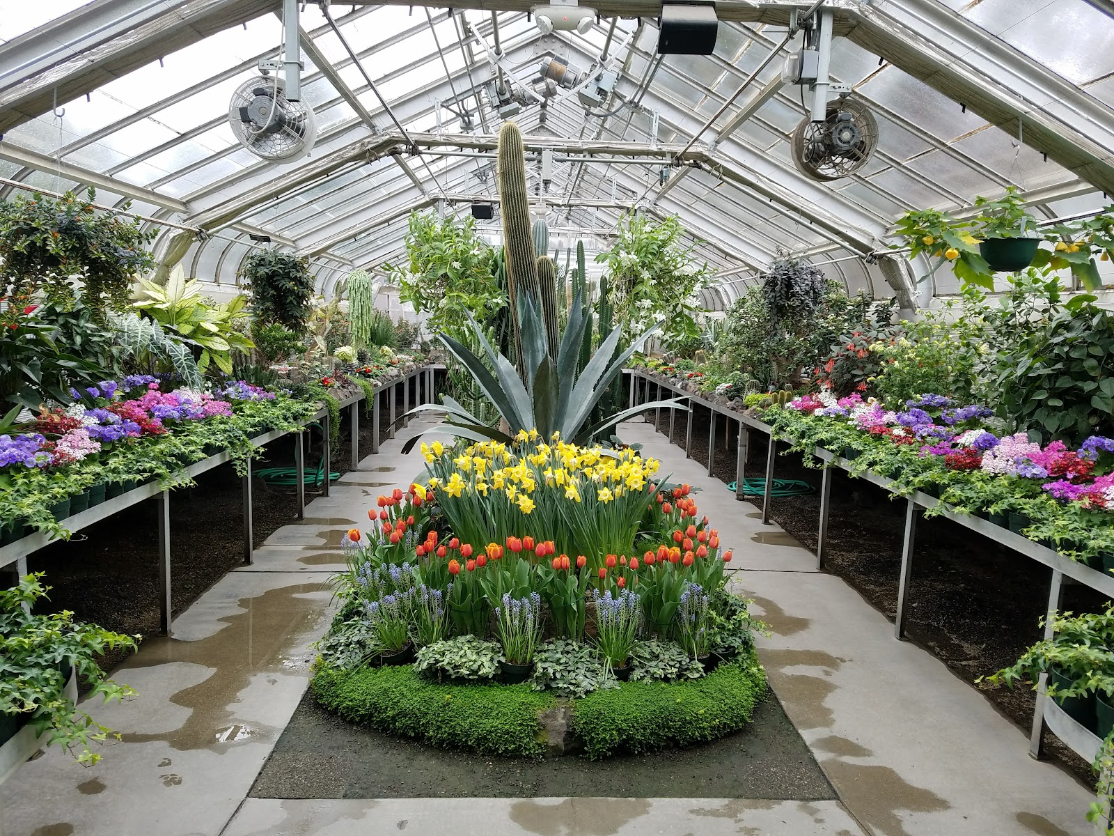 Gaiser Conservatory