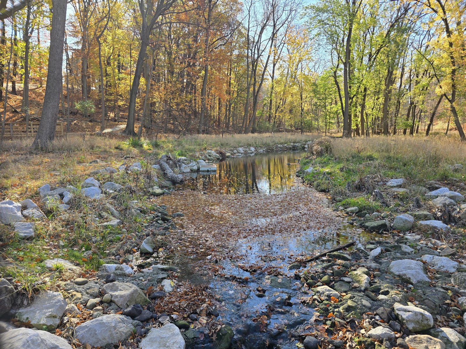 Garfield Park Reservation
