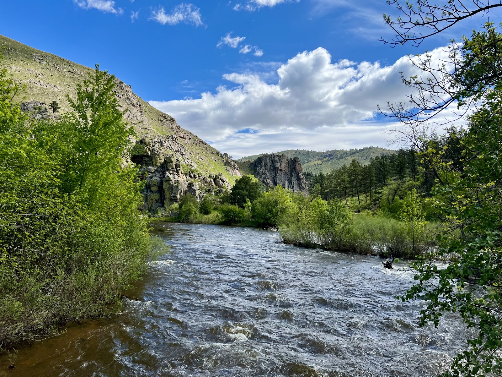 Gateway Natural Area
