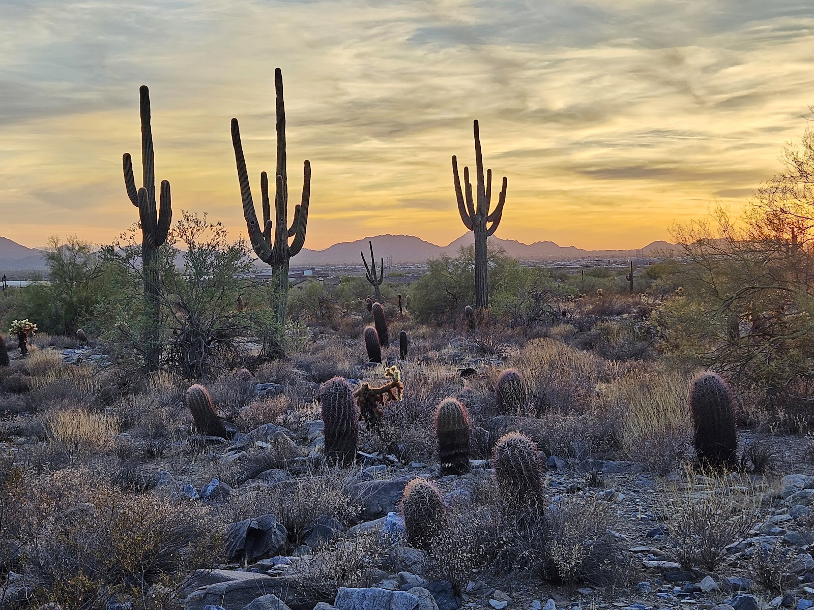 Gateway Trailhead - McDowell Sonoran Preserve
