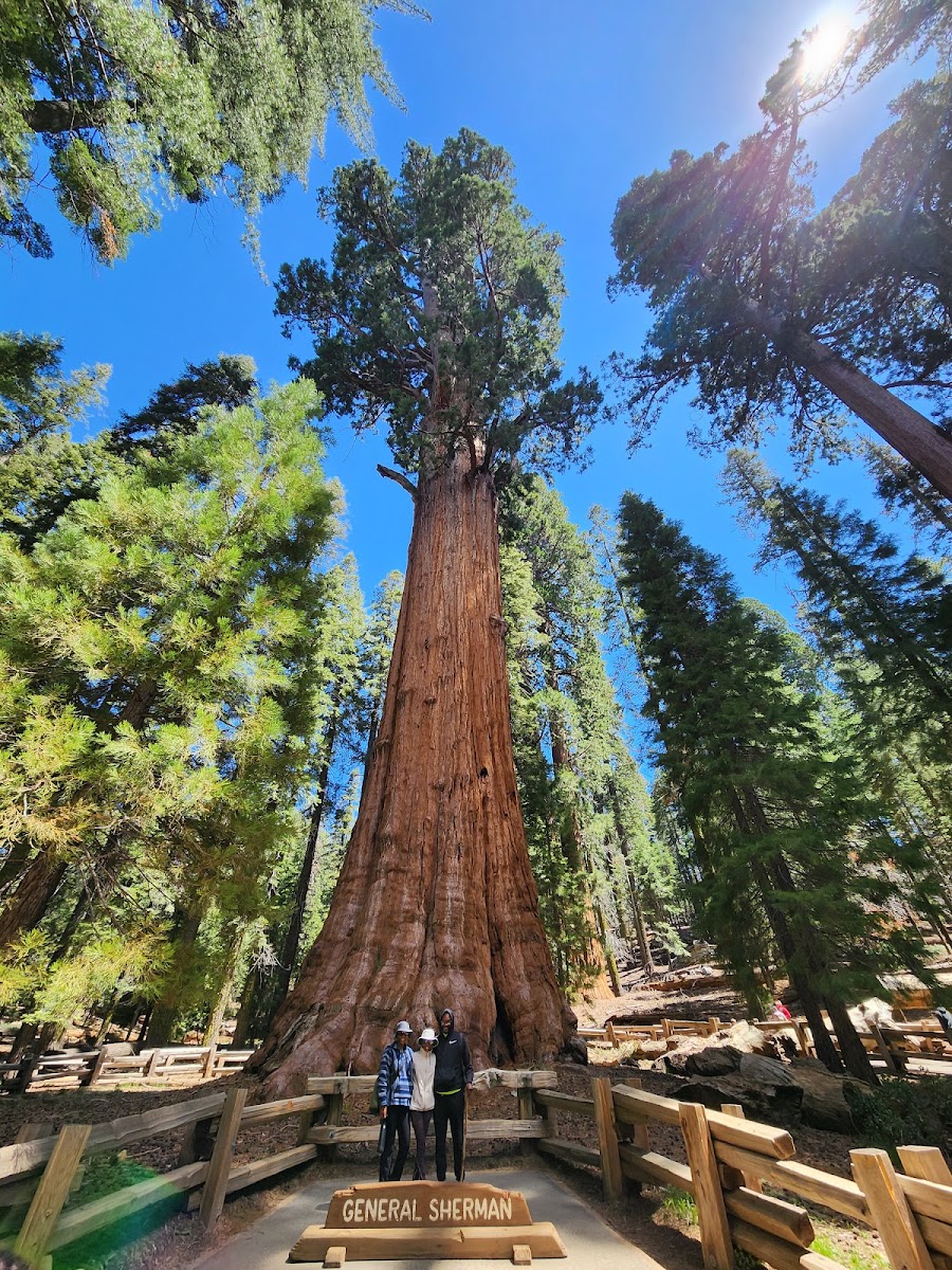 General Sherman Tree Trailhead