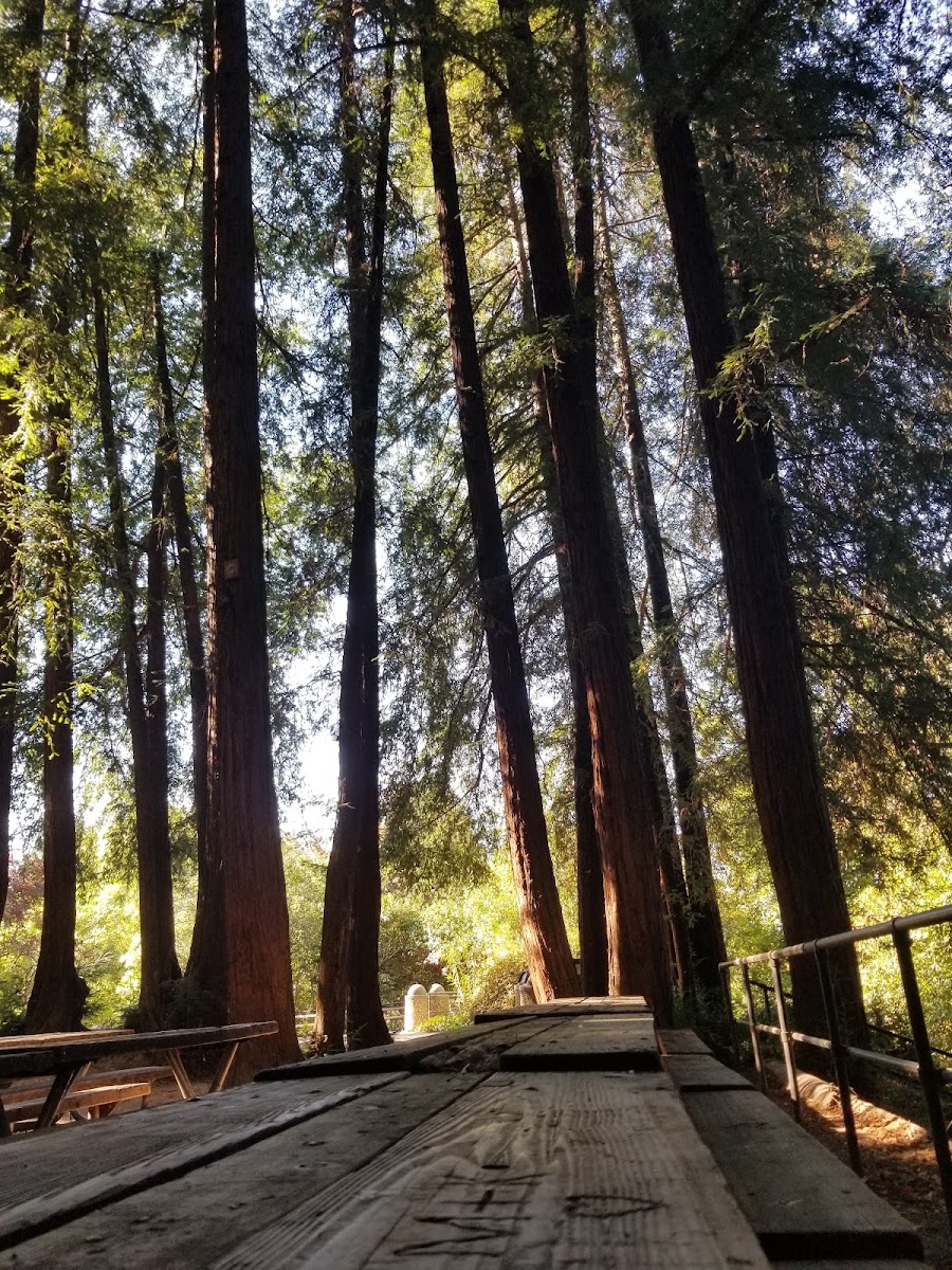 Gerstle Park