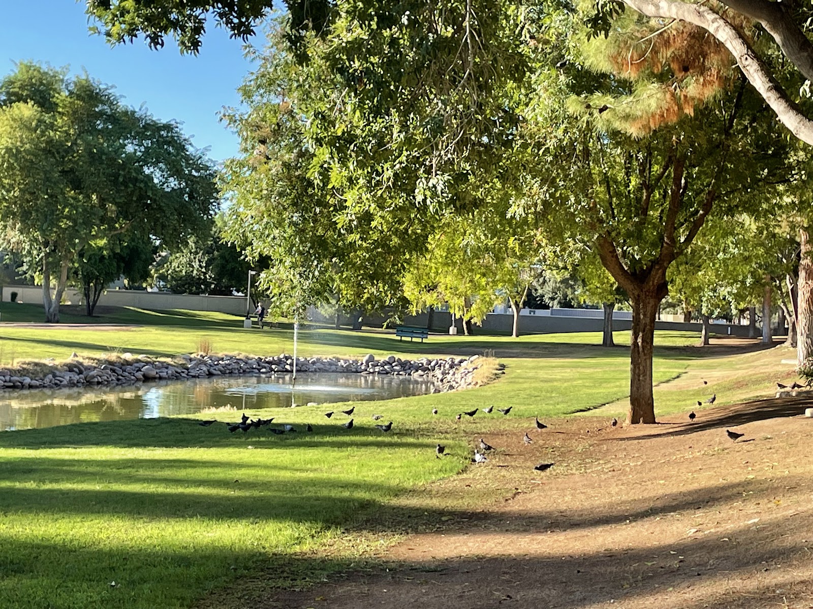 Gila Springs Park