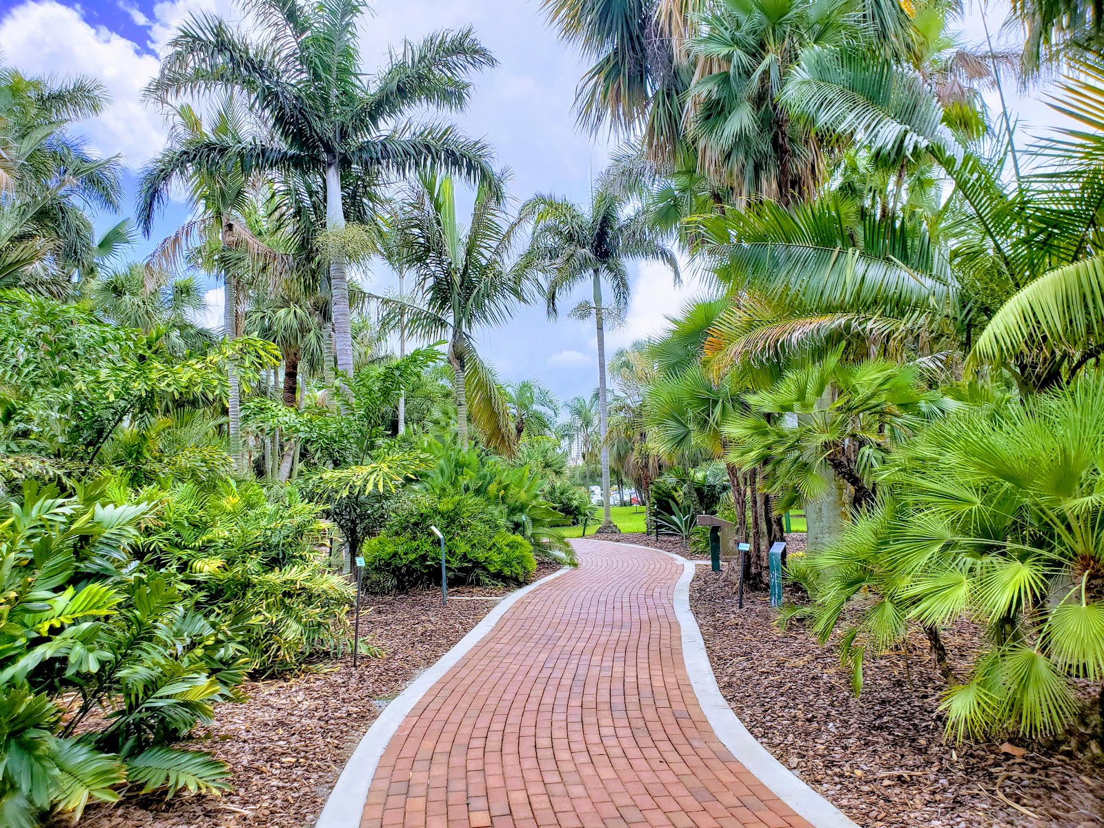 Gizella Kopsick Palm Arboretum