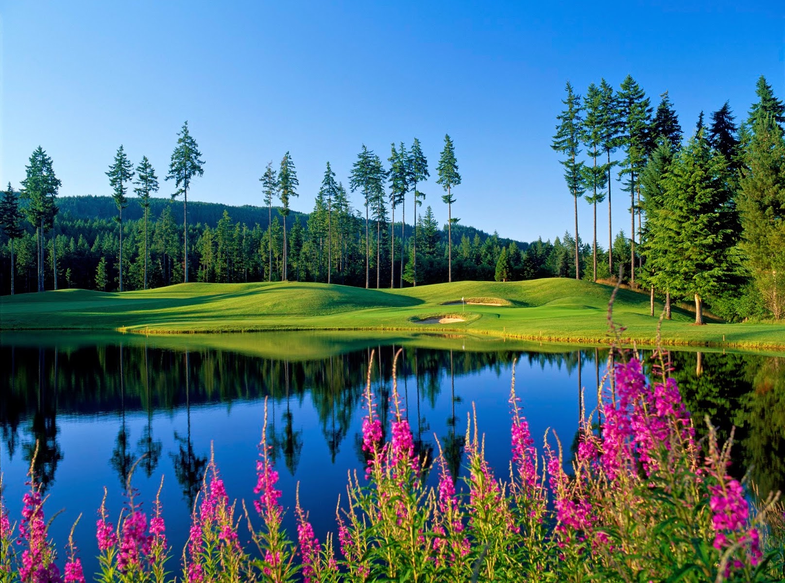 Gold Mountain Golf Club