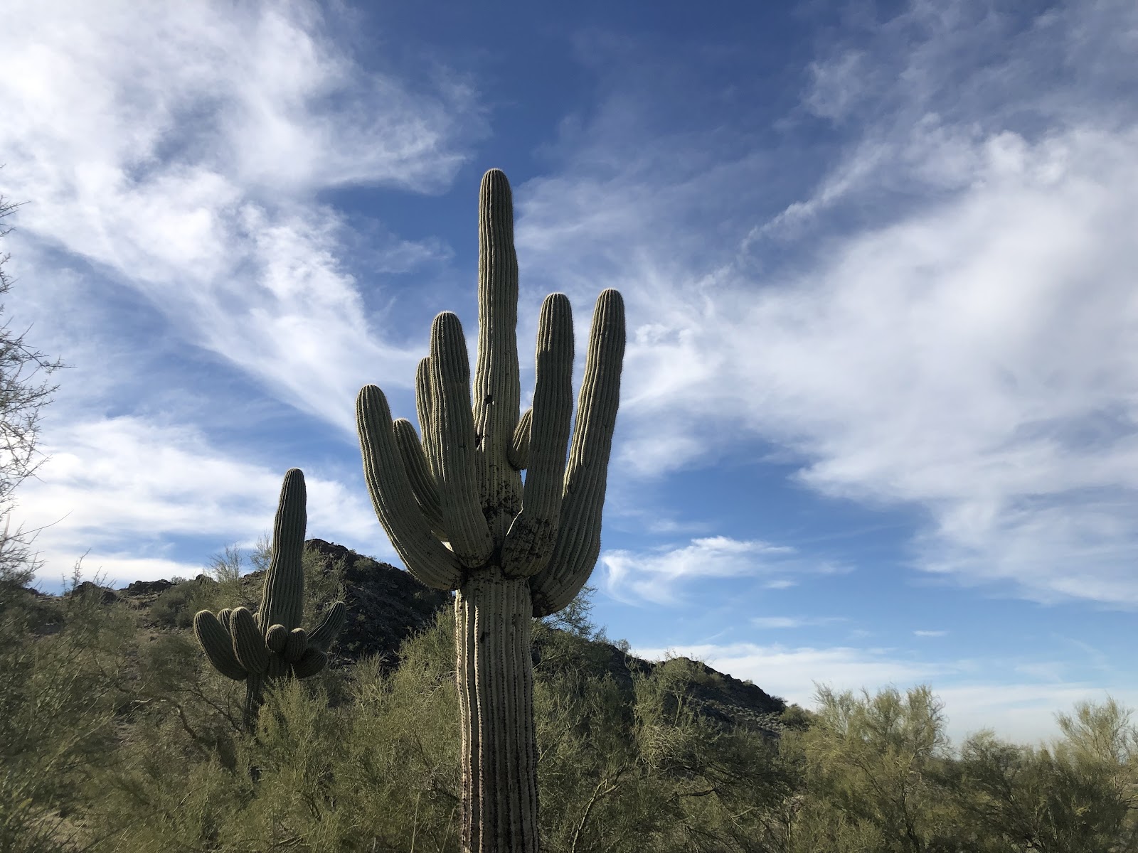Goldmine Trailhead