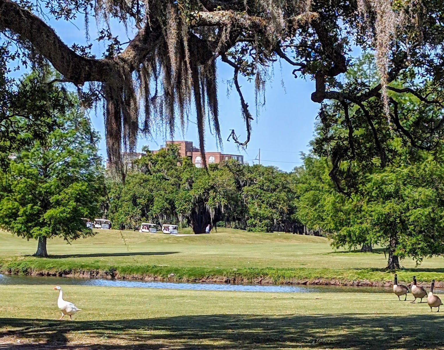 Golf Club at Audubon Park