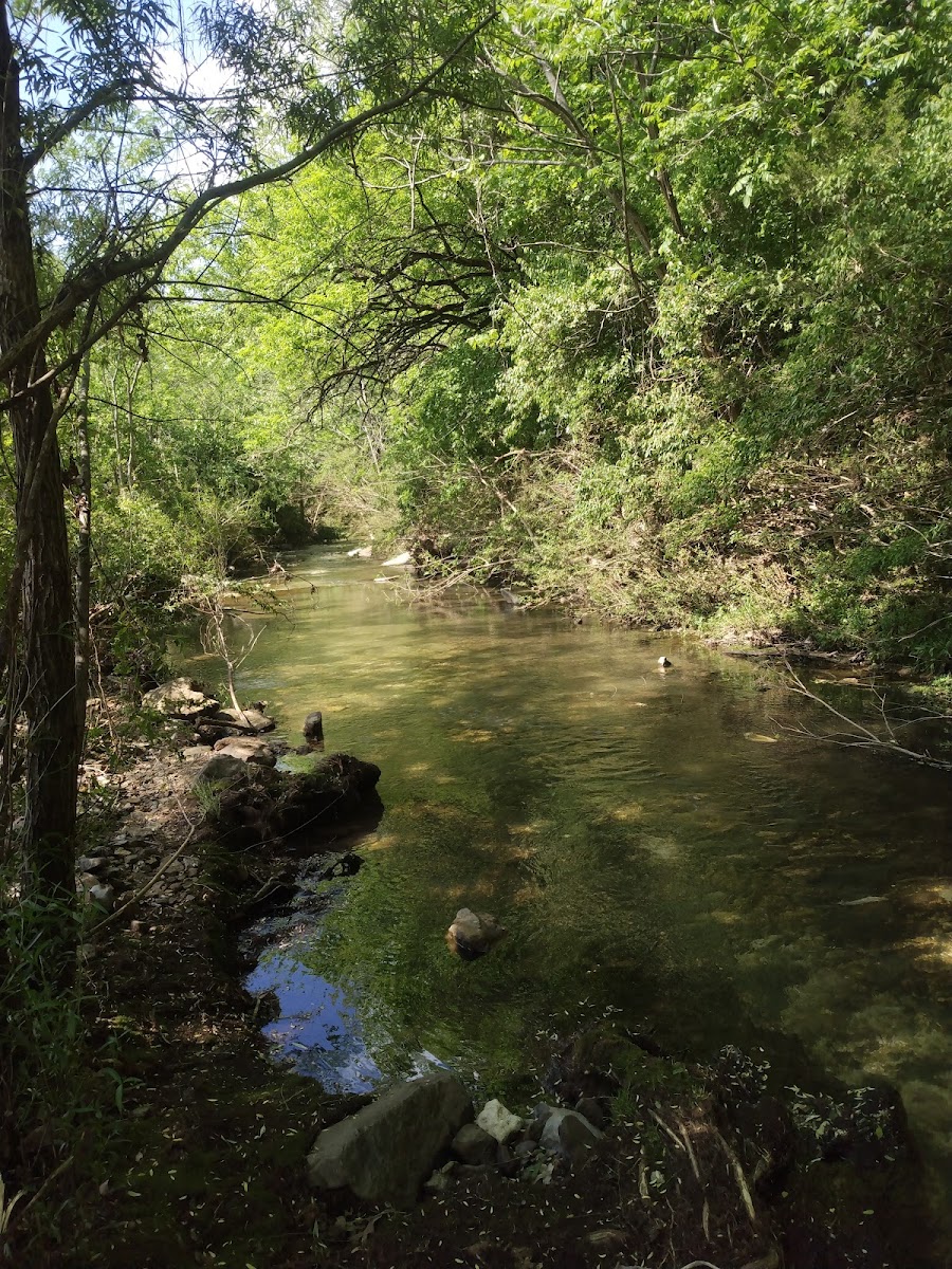 Gordon Long Park