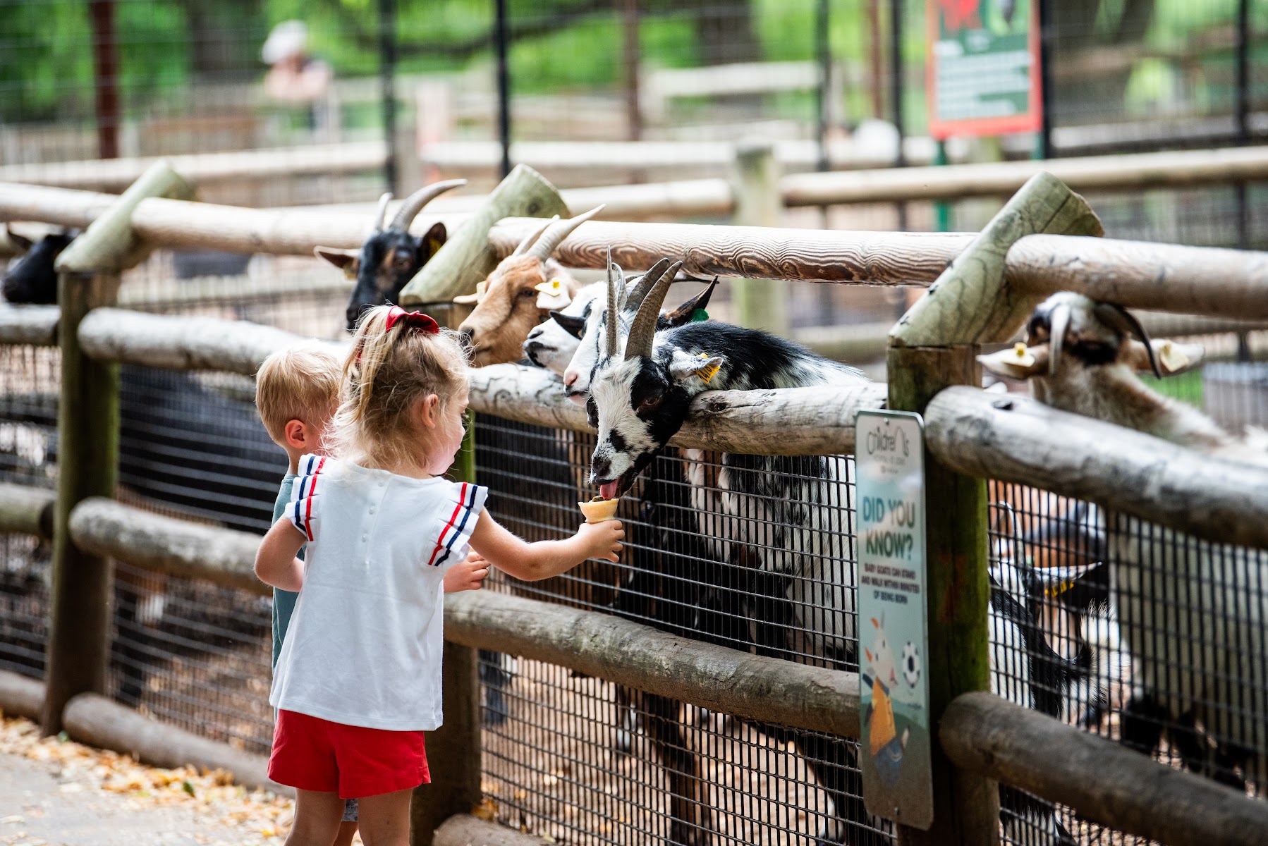 Grant's Farm