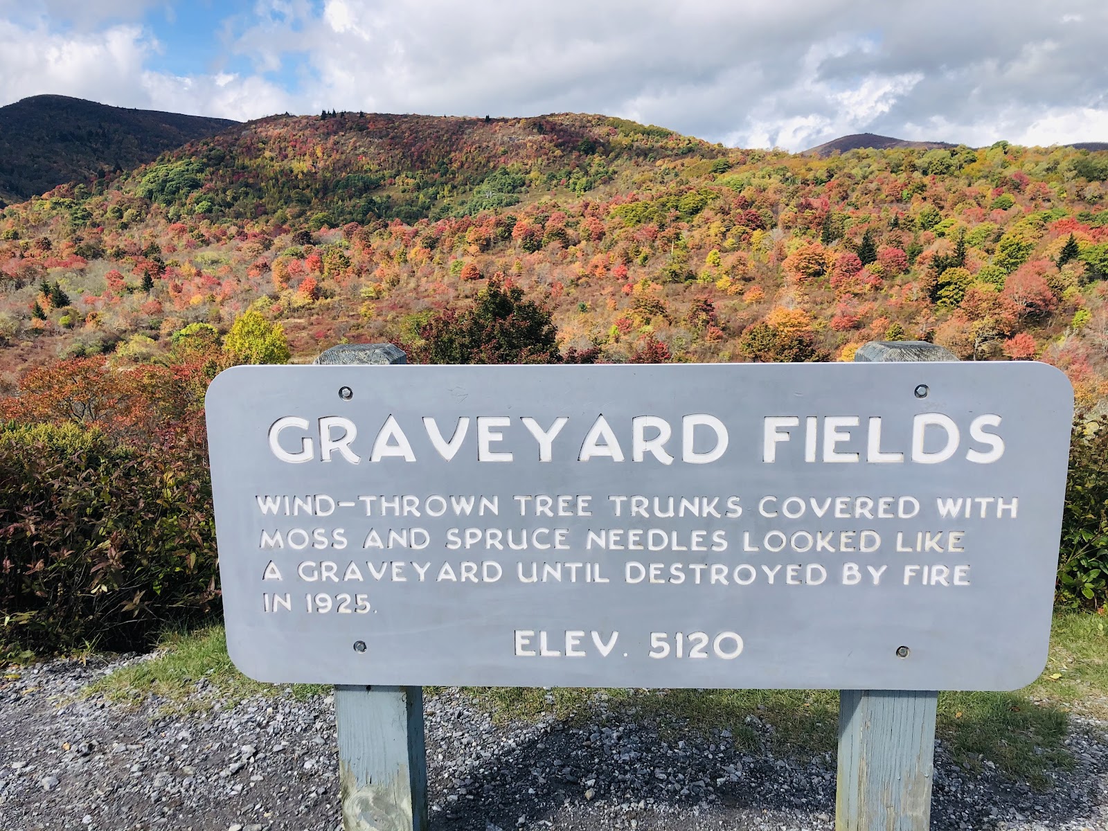 Graveyard Fields