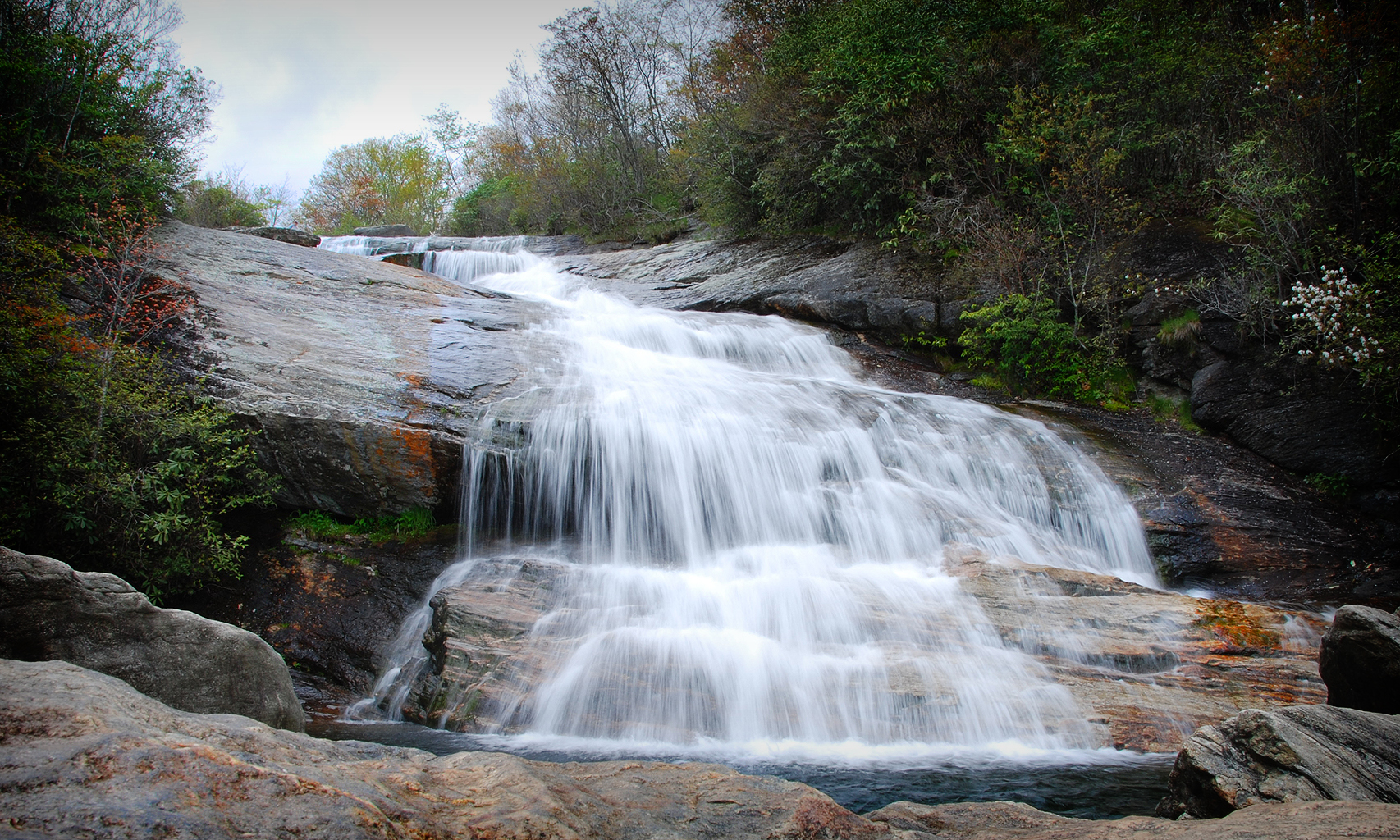 Graveyard Fields Loop Trail
