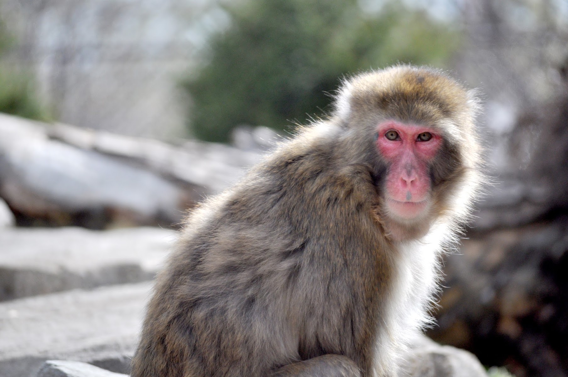 Great Plains Zoo