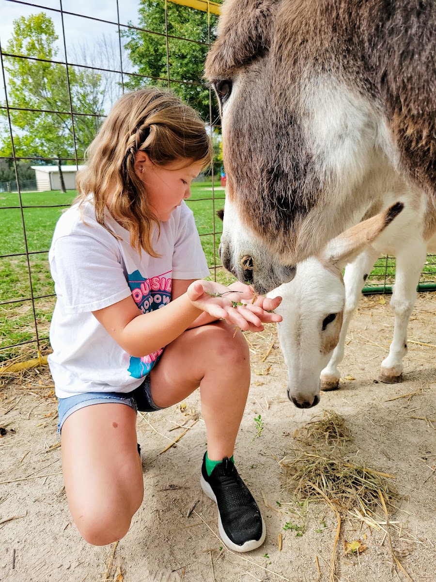Green Meadows Petting Farm