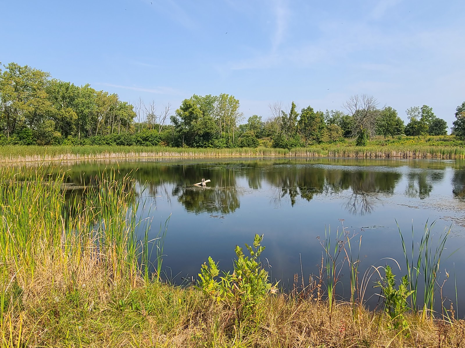 Greenbelt Forest Preserve