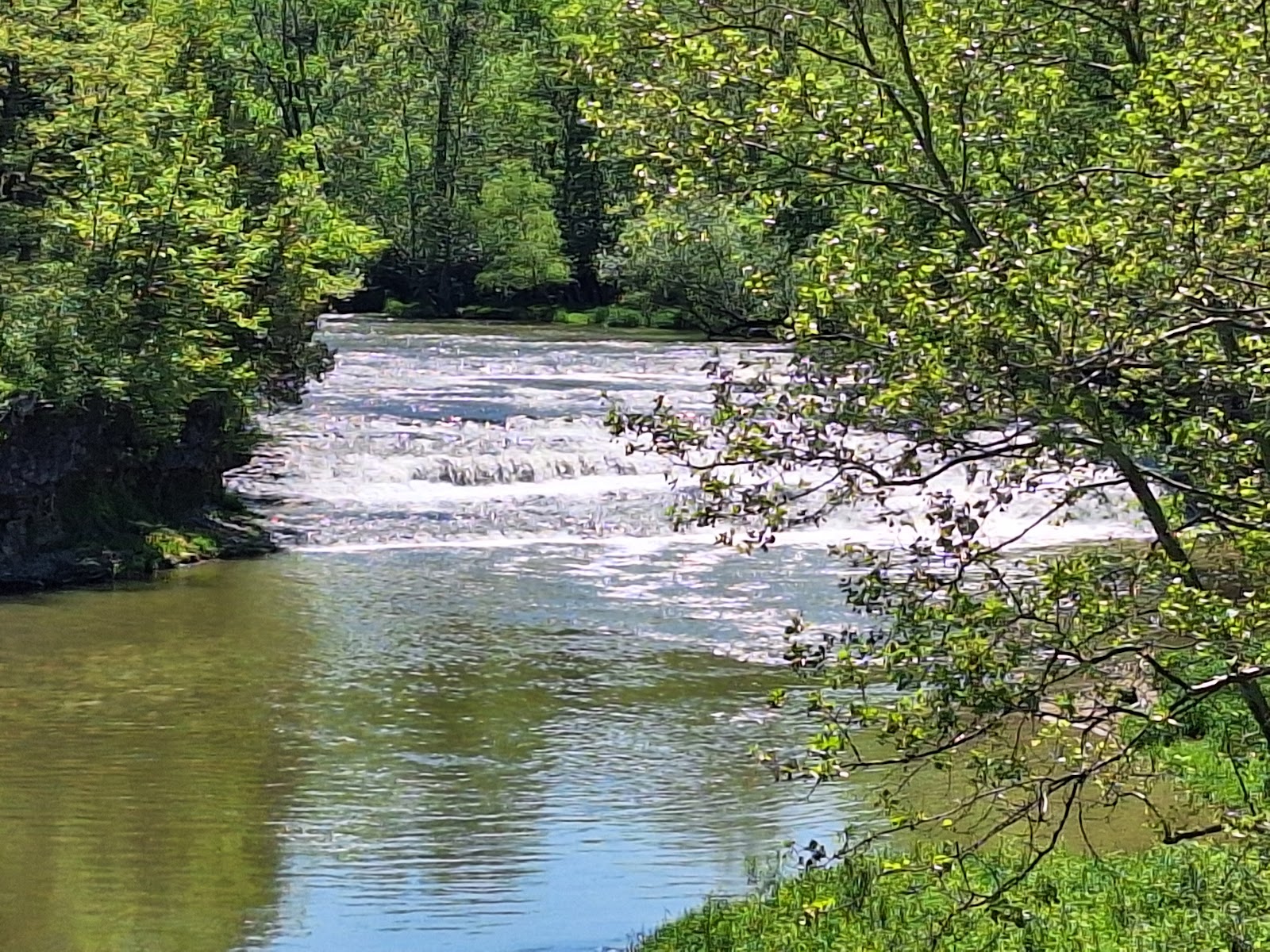 Greenville Falls State Scenic River Area