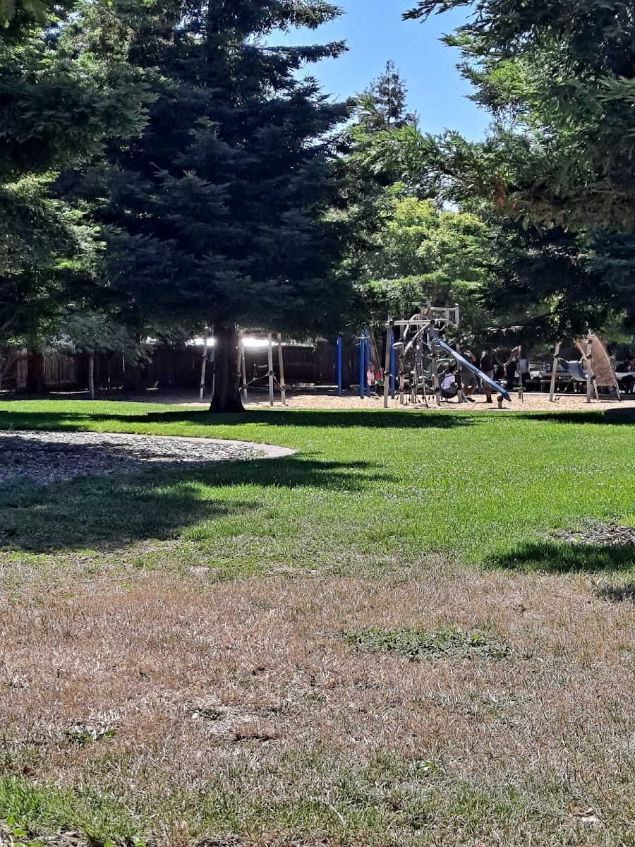 Halcyon Park