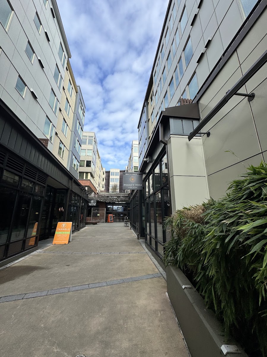 Halea Yoga