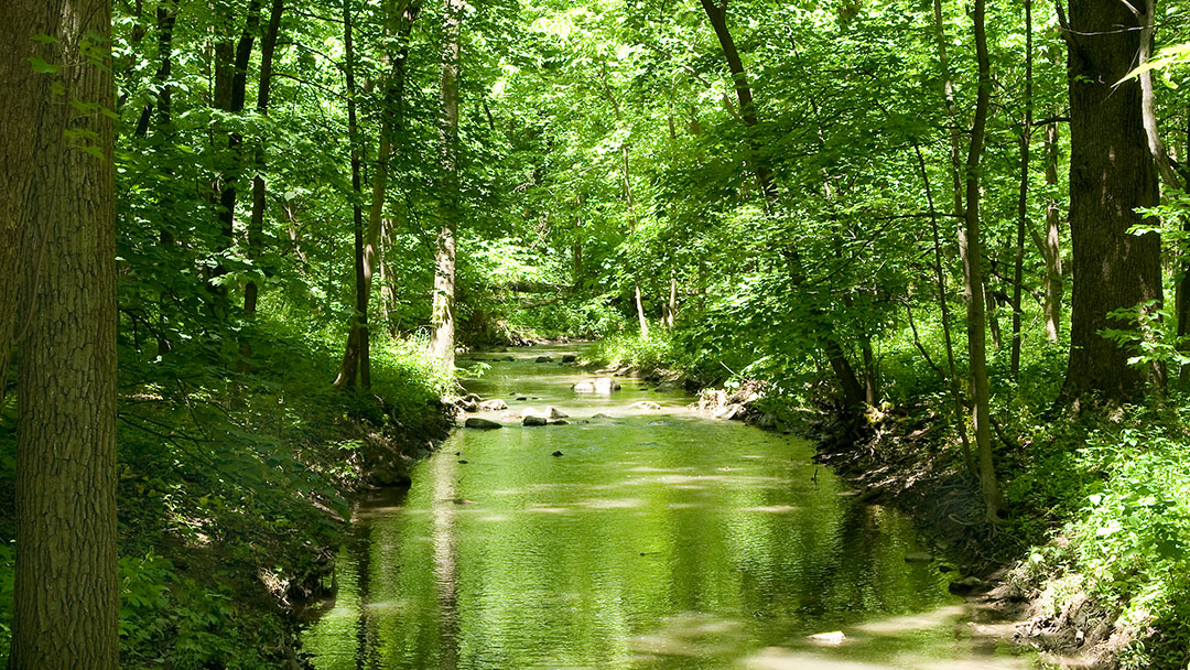 Hammel Woods - DuPage River Access