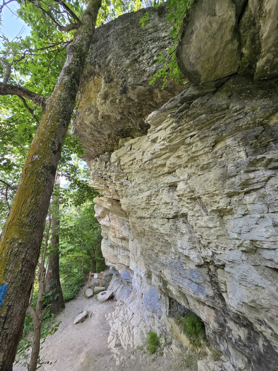 Hanging Rock National Natural Landmark - ACRES Land Trust