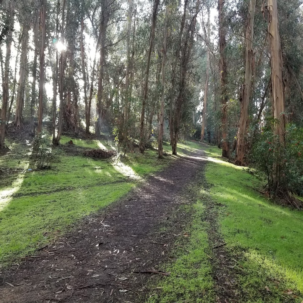 Hanns Park