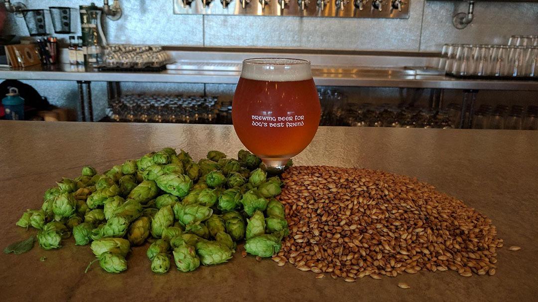 Happy Basset Brewing Co