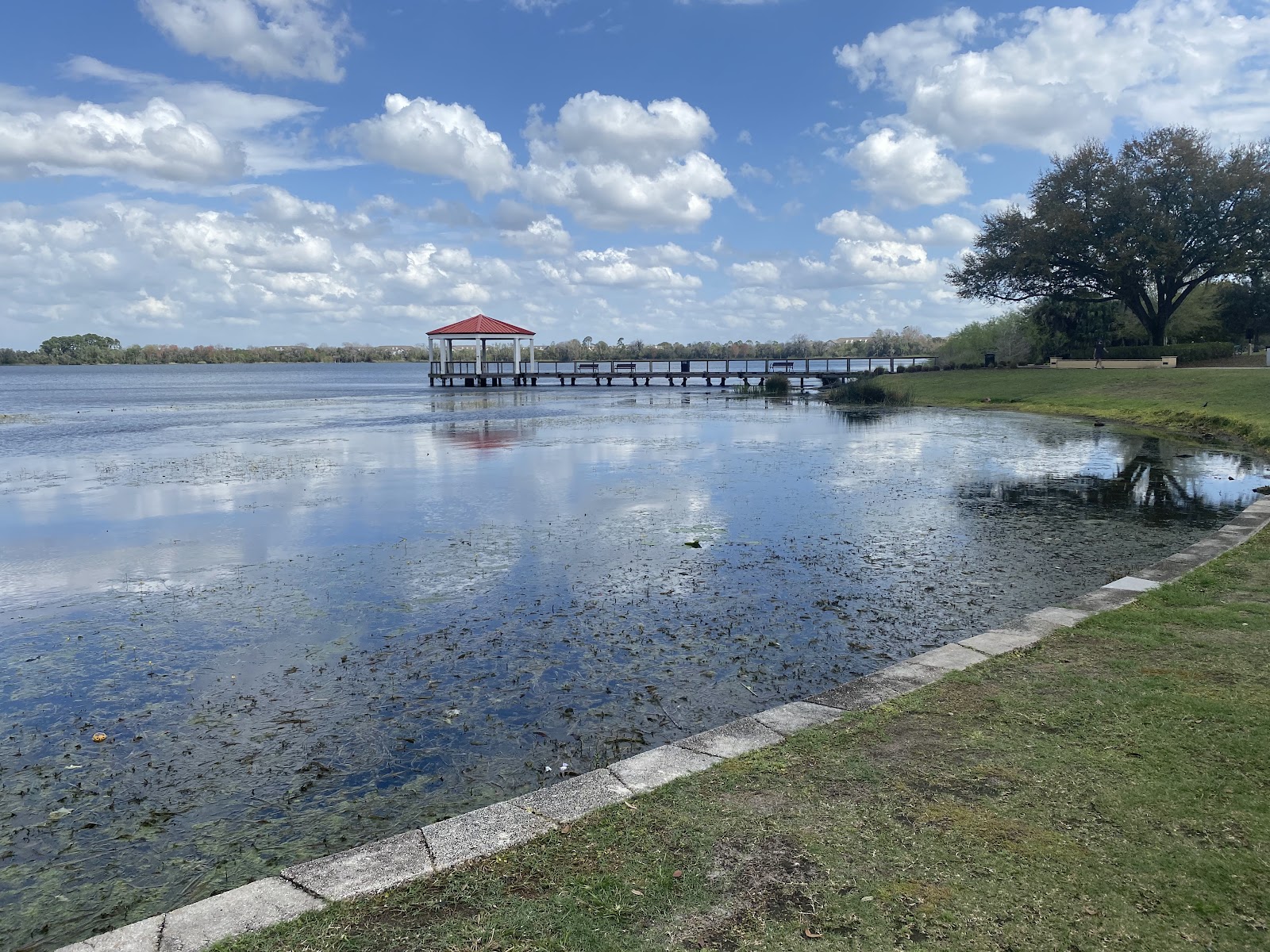 Harbor Park