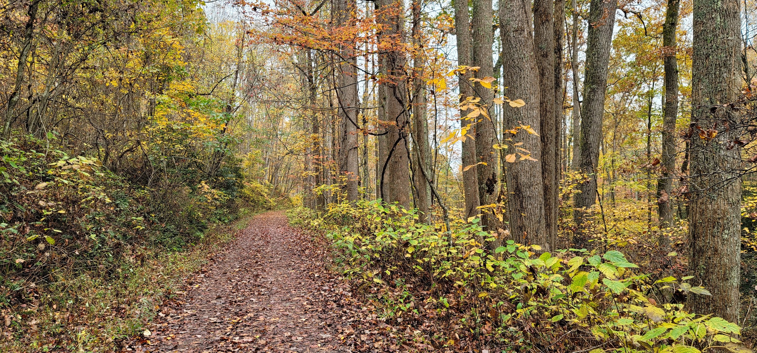 Hard Times Trailhead
