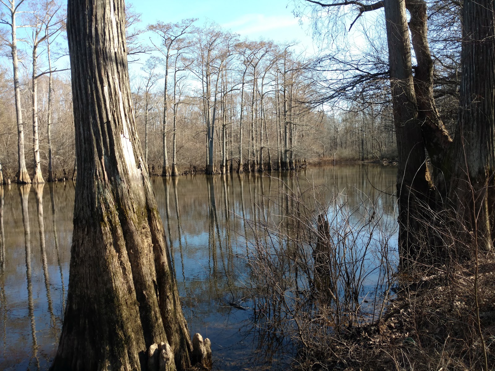 Hatchie National Wildlife Refuge