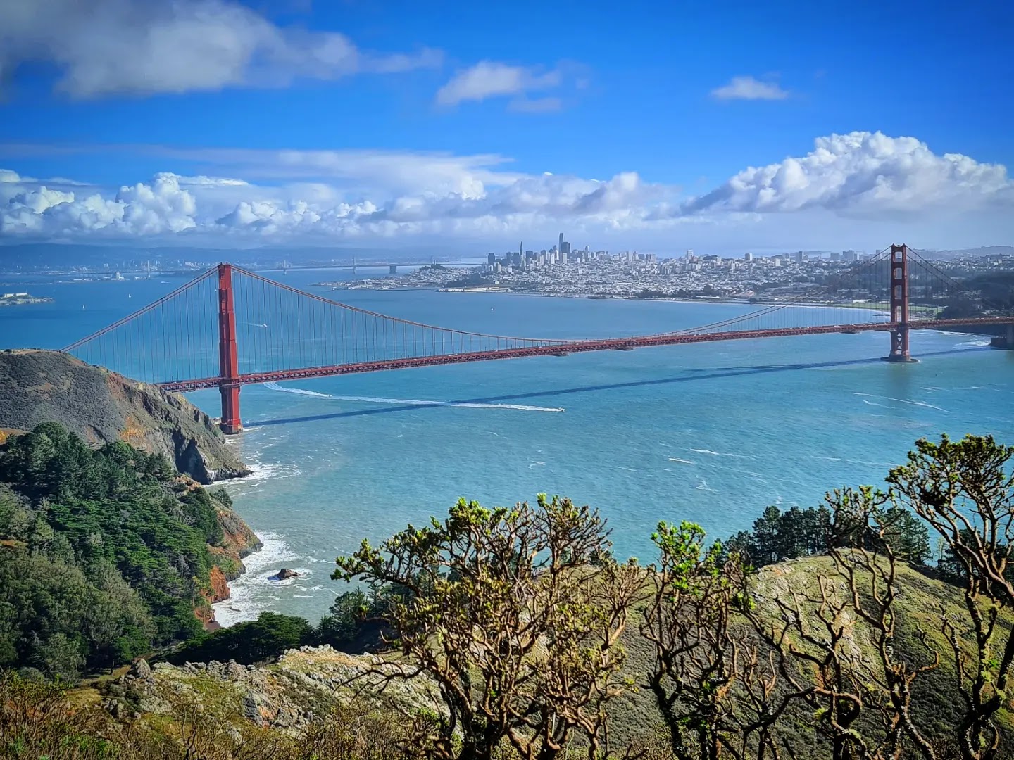Hawk Hill
