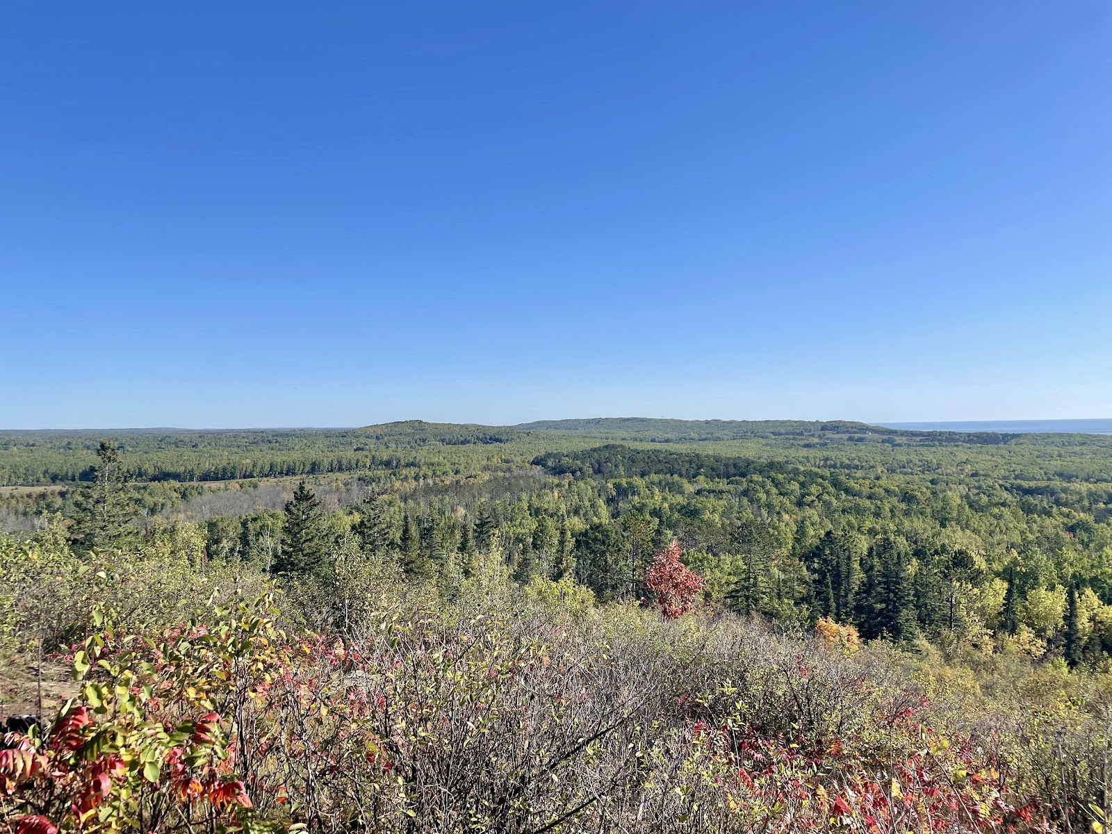 Hawk Ridge Bird Observatory